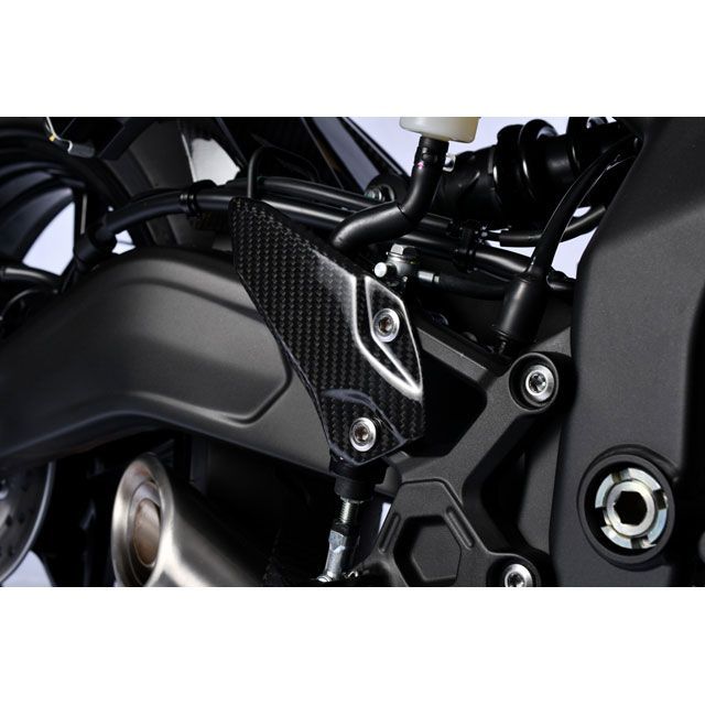 SPEEDRA ZX-25R ヒールプレート 左右セット ドライカーボン 仕様