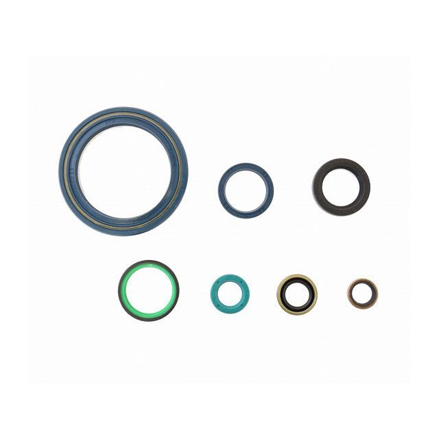 アテナ SUPERSPORT 900 GT 900 Engine OilSeals Kit ATHENA バイクの通販は