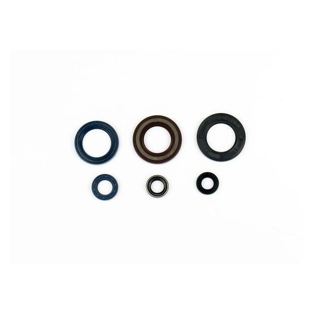 アテナ Engine OilSeals Kit ATHENA バイクの通販は