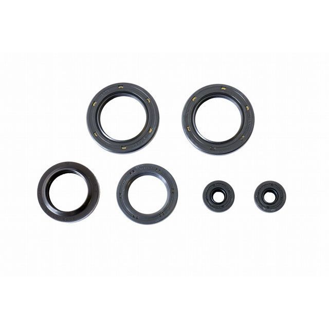 アテナ POLARIS 400 POLARIS ALL MOTORS 350 2-STROKE Engine OilSeals Kit ATHENA…の通販は 7,172円