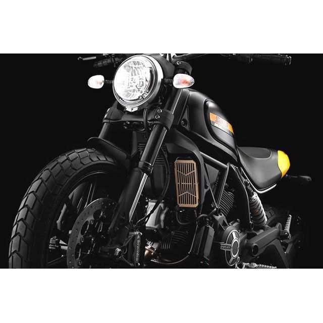 バイカーズ Scrambler ステンレス コアガード チタンコート カラー ゴールド BIKERS バイク