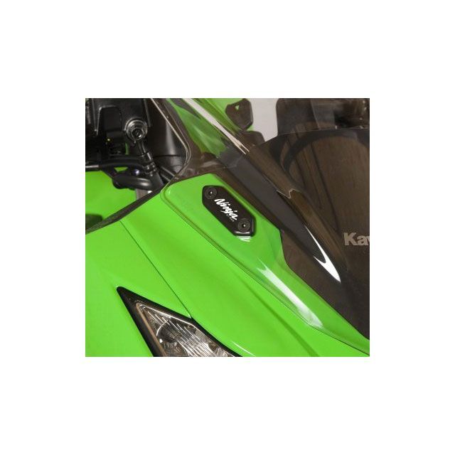 アールアンドジー NINJA250/300 ZX-6R 636 ミラーブランキング