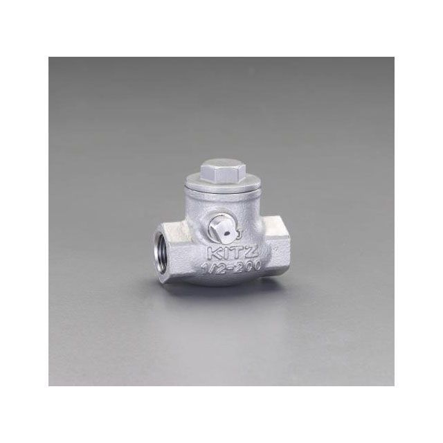 エスコ 1・1/2” スイングチャッキバルブ ESCO