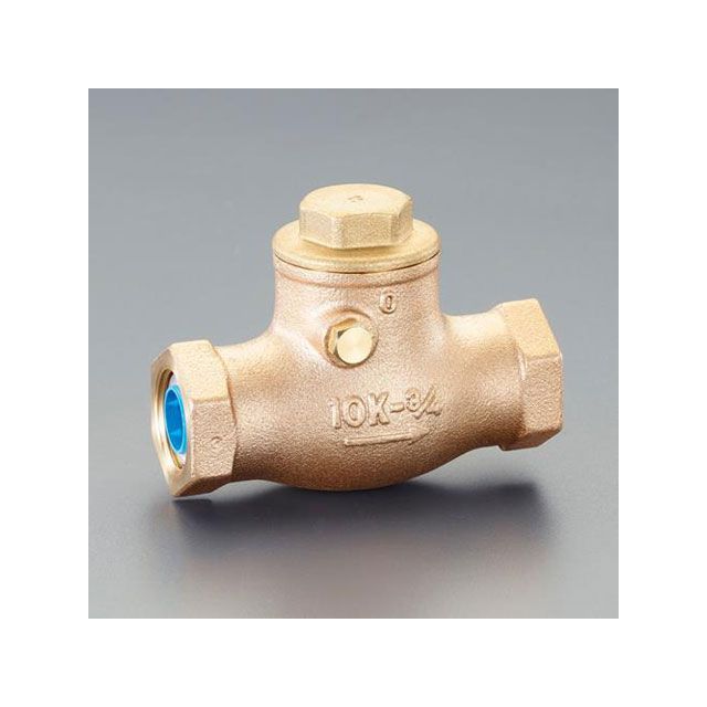 エスコ Rc1・1/2” スイングチャッキバルブ（給水用/青銅製） ESCO