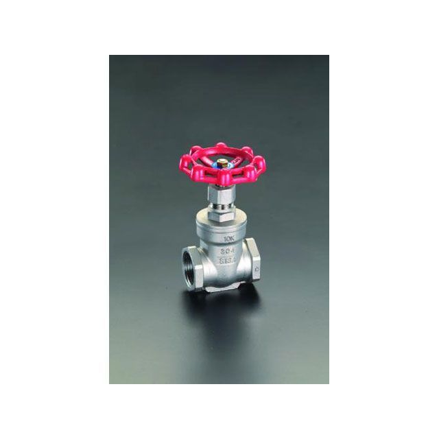 エスコ Rc 1” ゲートバルブ（ステンレス製） ESCO 14,397円