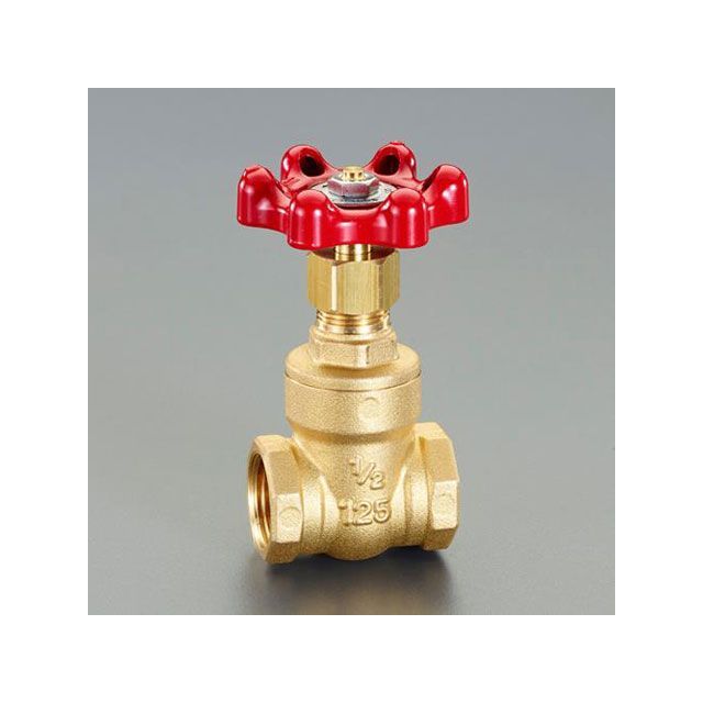 エスコ Rc 1” ゲートバルブ（真鍮製） ESCO バイク 車 自動車 自転車の通販は