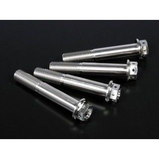 ジータ 汎用 チタン キャリパーマウントボルト M10 P=1.25 サイズ M10×60mm ZETA