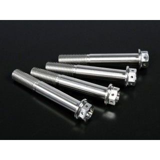 ジータ 汎用 チタン キャリパーマウントボルト M10 P=1.25 サイズ M10×65mm ZETA バイク