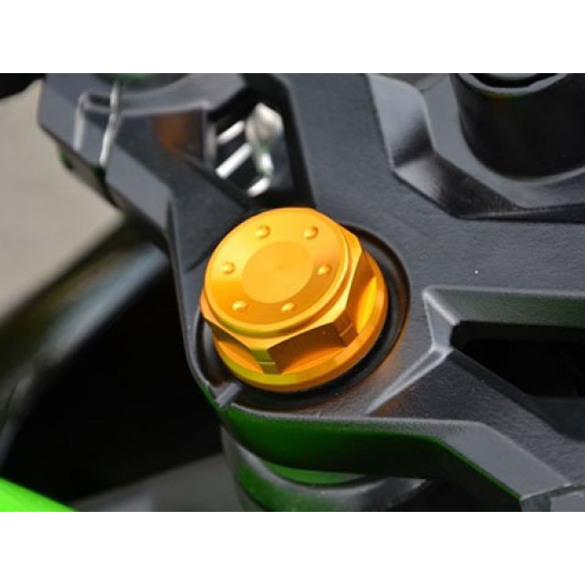アグラス Ninja250SL トップブリッジセンターナット M25×P1.0 カラー シルバー AGRAS バイクの通販は