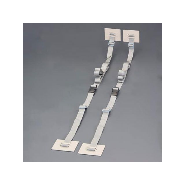 エスコ 90x70mm 転倒防止プレート（ラック用/バックル付/2個） ESCO バイク 車 自動車 自転車の通販は
