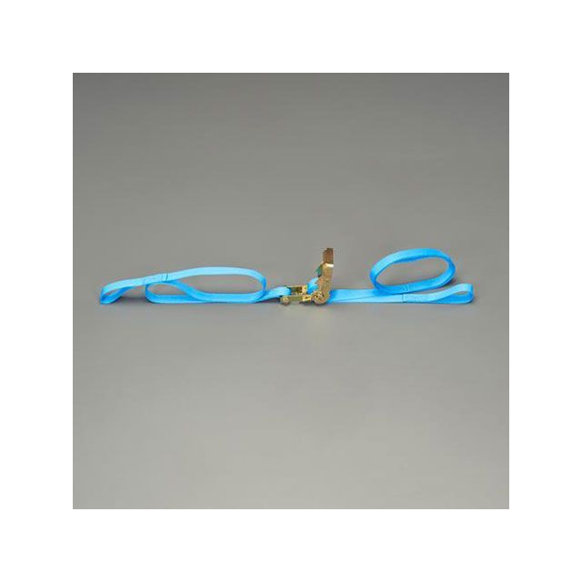 エスコ 25mmx 5.0m/250Kg ベルト荷締機（ラチェット式） ESCO バイク 車 自動車 自転車の通販は