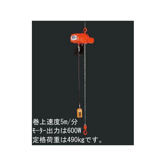 エスコ AC100V/490kgx 5m 電動チェーンブロック ESCO