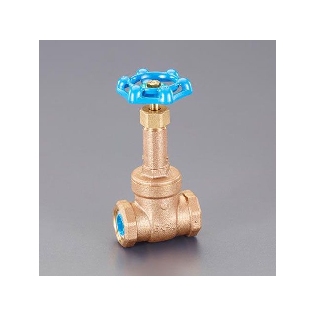 エスコ Rc 1” 論理ゲート弁膜（水用/青銅） ESCO