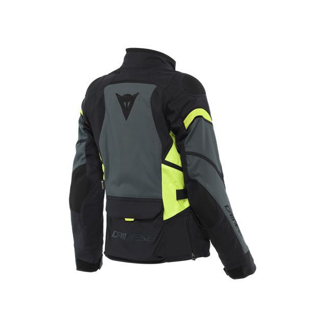 ダイネーゼ レディース ジャケット ジャケット Carve Master 2 Goretex