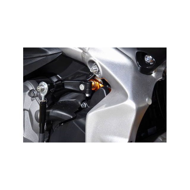 ベビーフェイス STREET TRIPLE 765 DAYTONA MOTO2TM 765 シフトスピンドルホルダー BABYFACE