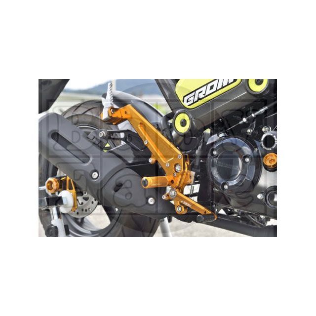 BABY FACE (ベビーフェイス) バックステップ 4ポジション 正チェンジのみ アルミ シルバー NSR250/R/SP/SE[MC28] 002-H022SV ZX10R (\u002716-20) STEP KIT