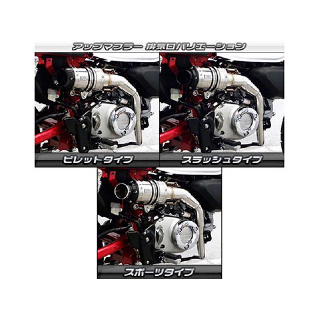 アップマフラー スラッシュタイプ チタン仕様 ウイルズウィン（WirusWin） モンキー125（2BJ-JB02） ウイルズウィン モンキー125 モンキー125（8BJ-JB03）用 アップ