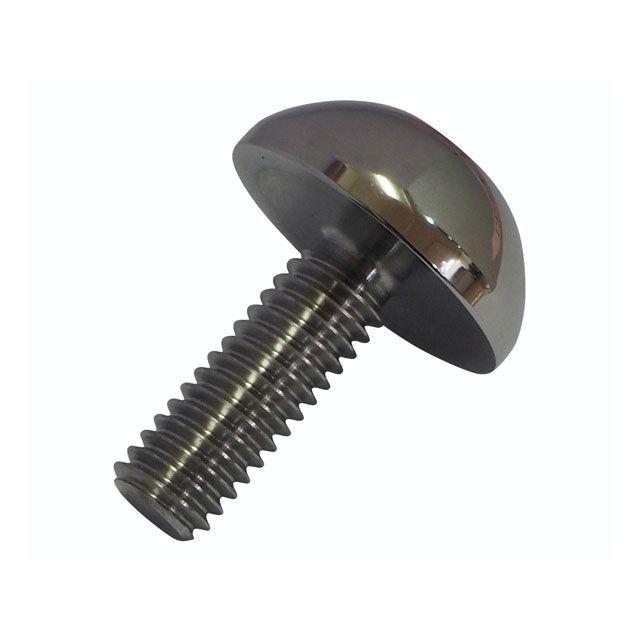 エス＆エス スクリュー 5/16-18 x .900” ポリッシュ S&S