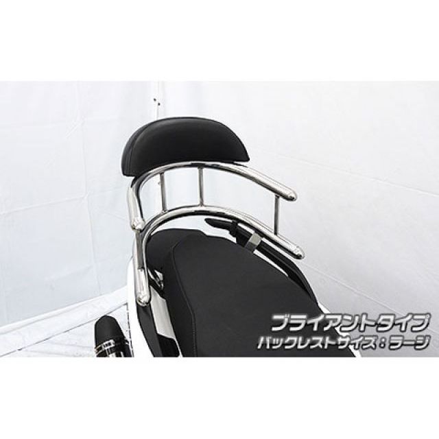 ウイルズウィン シグナス グリファス（台湾） シグナス グリファス（国内） シグナス グリファス（CYGNUS GRYPHUS）用 バックホールドタ…