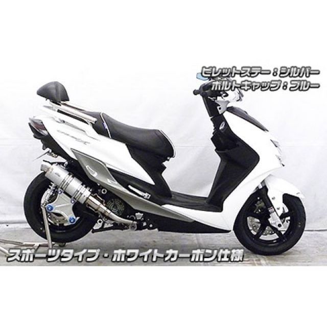 ウイルズウィン シグナスX（5型） シグナスX（5型）用 アニバーサリーマフラー スポーツタイプ サイレンサー ホワイトカーボン仕様 ビレットステー…_2