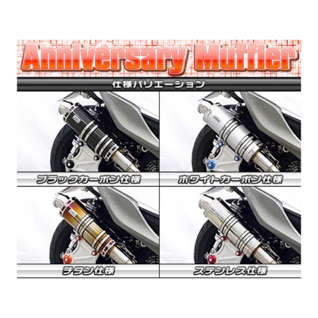 WirusWin ウイルズウィン ブラック カーボン マフラー レブル 250