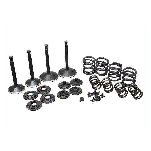 キブルホワイト スポーツスター エンジンキット 70-83y スポーツスター