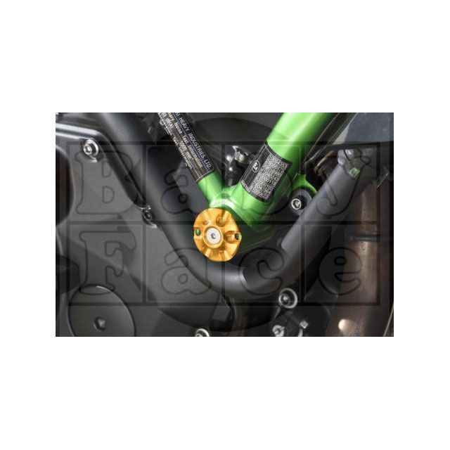 ベビーフェイス Z-H2 フレームキャップ フロント（エンジンマウント） カラー グリーン BABYFACE バイクの通販は