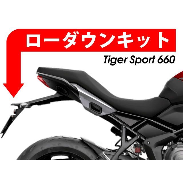 パイツマイヤー Tiger Sport 660 ローダウンキット 30mm Peitzmeier