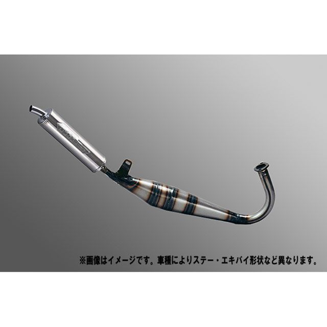 NRマジック RG50ガンマ WOLF50（ウルフ50） SPR-117Z 3DテクノロジーSUSサイレンサー採用 NR MAGIC バイクの通販は