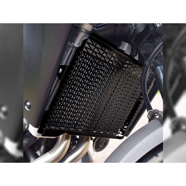 パイツマイヤー Street Triple 675 R Street Triple 675 ラジエーターガード（ブラック） Peitzmeier