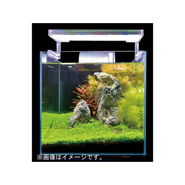 ゼンスイ ナノ レビル(nano LeviL) 水草育成用 ホワイト 600
