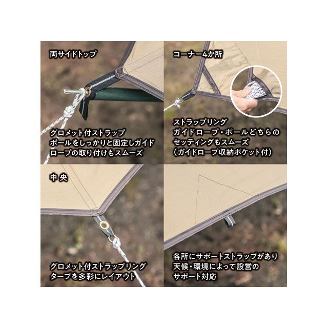 TENT FACTORY BWスカイオーバータープT500Bベージュ 楽天市場】TENT