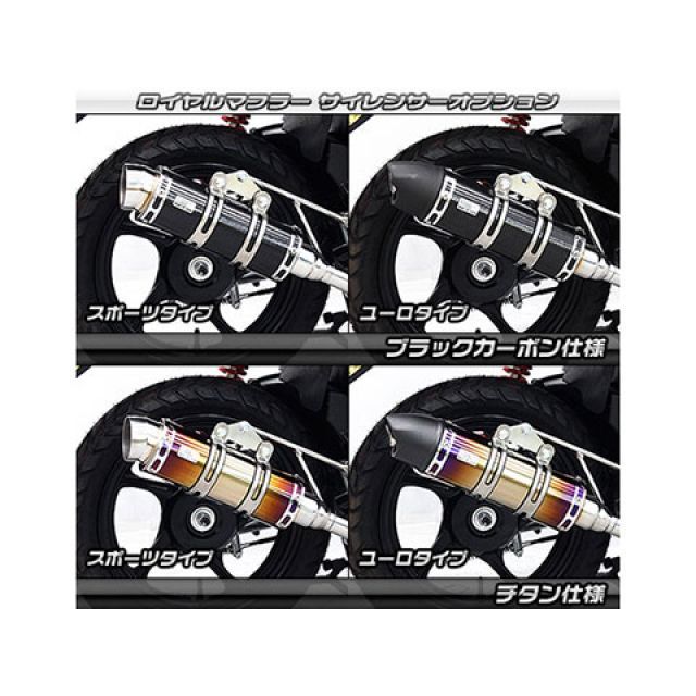 ウイルズウィン ネクス クロスオーバー ネクス クロスオーバー用 ロイヤルマフラー ポッパータイプ WirusWin_7