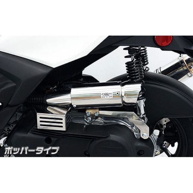 ウイルズウィン シグナス グリファス シグナス グリファス用 サイレンサー型 エアクリーナーキット ポッパータイプ WirusWin_1