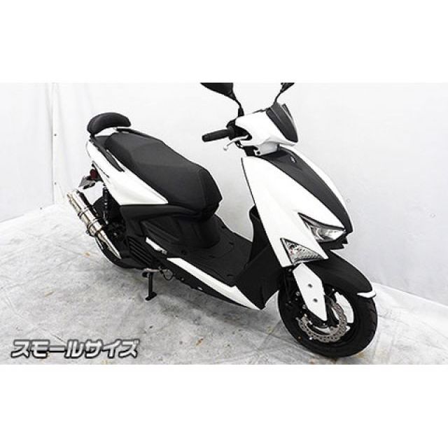 ウイルズウィン シグナス グリファス シグナス グリファス用 バックレストキット スモールサイズ WirusWin_2