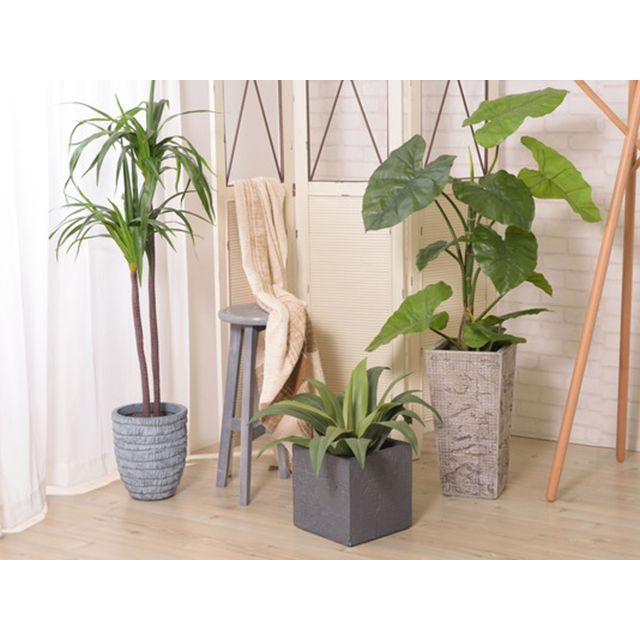 AZUMAYA 東谷 フェイクグリーン ドラセナ GRN-15 L1