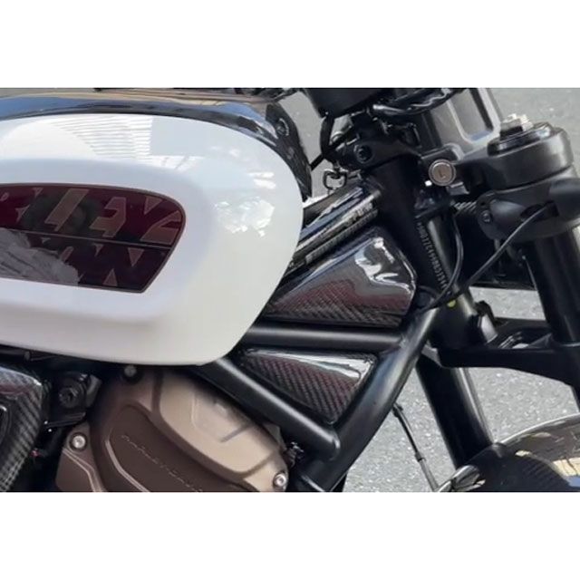 モーターステージ スポーツスターS ドライカーボン フロントフレームカバー A MOTOR STAGE_1