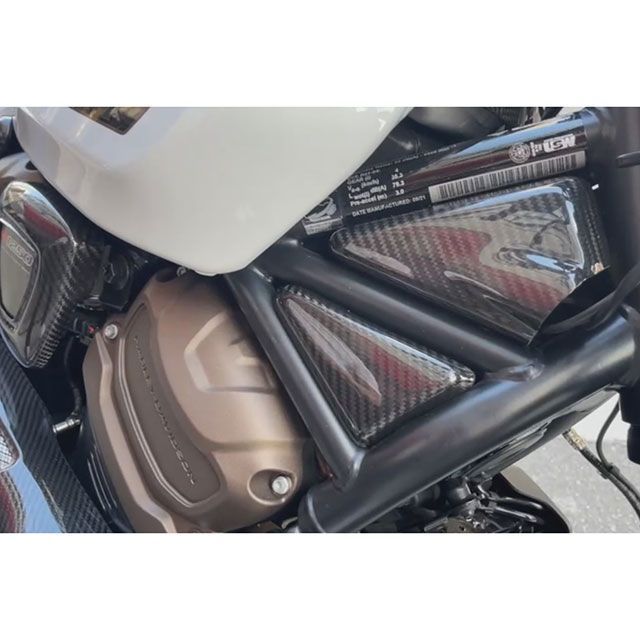 モーターステージ スポーツスターS ドライカーボン フロントフレームカバー A MOTOR STAGE_2