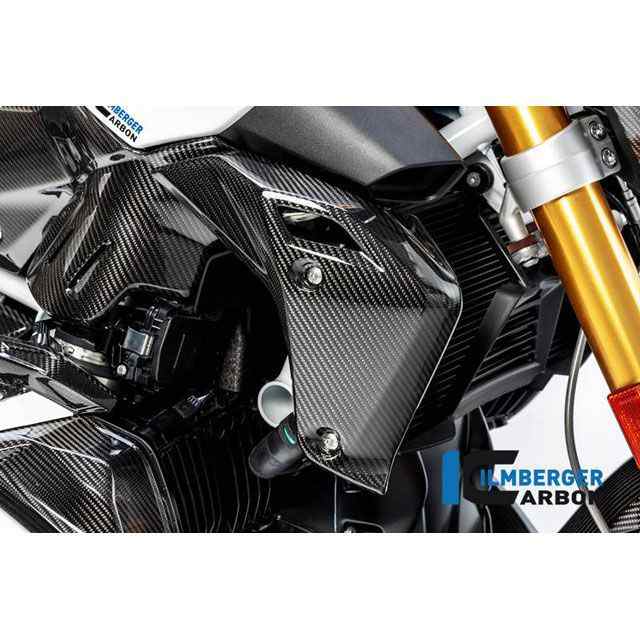 イルムバーガー R 1250 R LC ウォータークーラーカバー 右 BMW R 1250 R（LC） 2019 ｜ WKR.002.R125R.K…