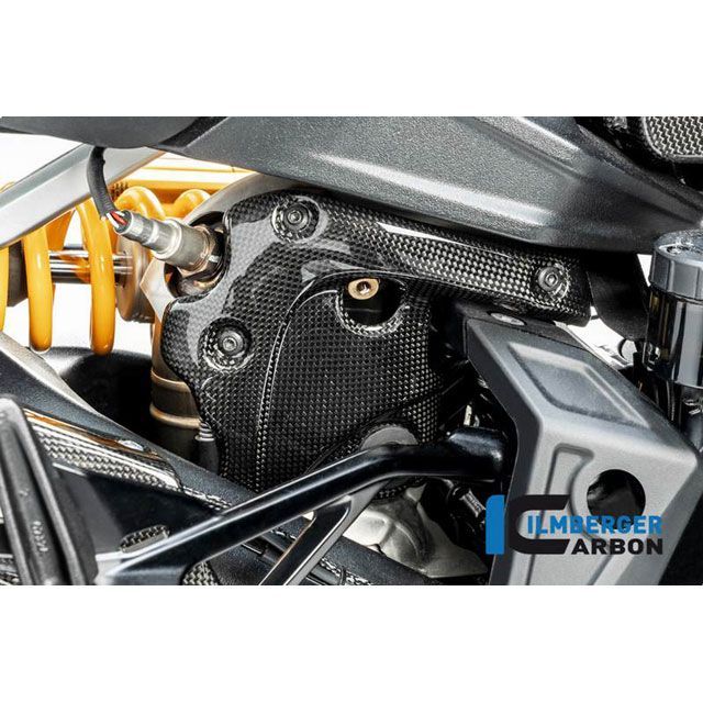 イルムバーガー Diavel 1260 マニホールド エキゾーストプロテクション グロス Diavel 19- ｜ AHD.004.DI19G.K …