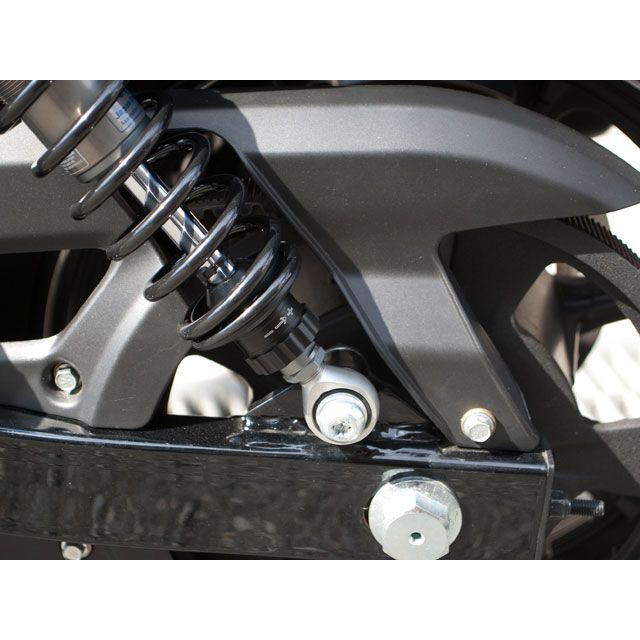 テラダモータース XG750 ストリート750 Street 750用リア