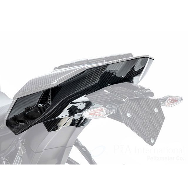 ワンダーリッヒ M1000R S1000R カーボンテールフェアリング Wunderlich