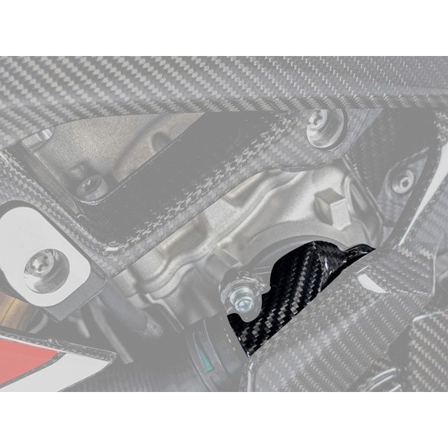 ワンダーリッヒ カーボンウォーターポンプカバー Wunderlich