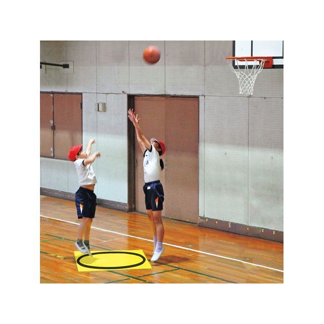 トーエイライト U7032 バスケットシュートエリアシート TOEI LIGHT