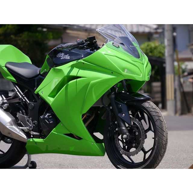 才谷屋ファクトリー Ninja250 フルカウル レース ビス止ver 仕様 黒ゲル Saitaniya Factory バイク