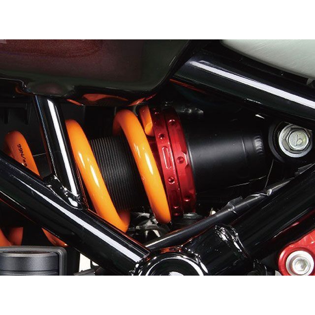同梱　専用 ポッシュフェイス Z900RS Z900RS CAFE アルミマシンド リア