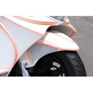 才谷屋ファクトリー スカイウェイブ250 フロントフェンダー カラー 未