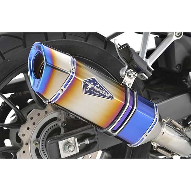 r's gear アールズギア ワイバンリアルスペック スリップオン