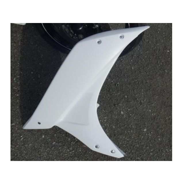 才谷屋ファクトリー YZF-R15 センターカウル/レース/白ゲル 仕様 ビス止めver Saitaniya Factory バイクの通販は