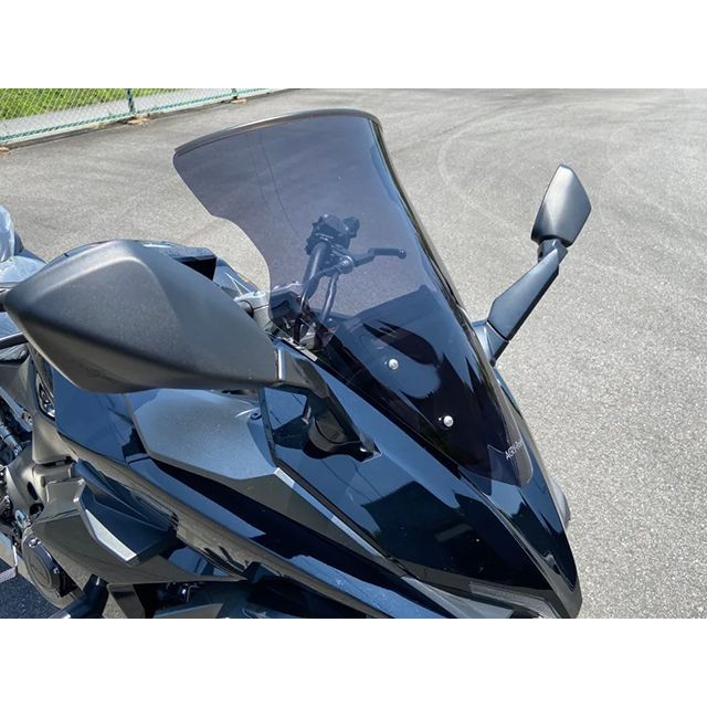アクリポイント ACRY-Point スクリーン ストリート [クリア] ZXR750